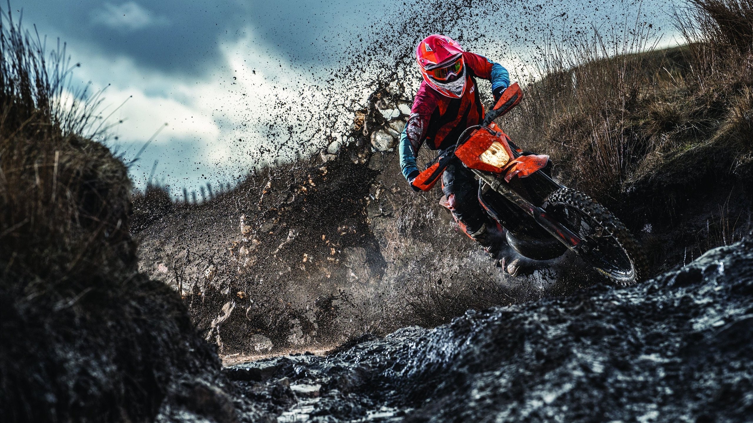 全球智勇棋战：体育精神在脑力竞赛中体现